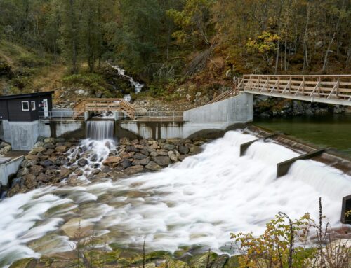 Den småskaliga vattenkraftens utmaningar och möjligheter