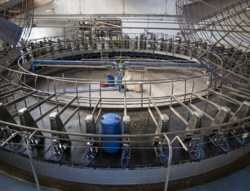 Nyfiken på biogas? Anslut dig till utvecklingsgruppen!