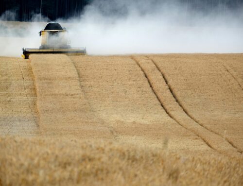 Framtidsdag 2025 – Ökad produktion för ökad beredskap