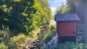 Virå bruk