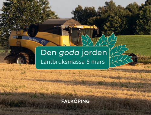Den goda jorden – 6 mars 2026