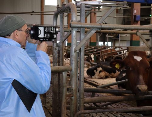 Avancerad ljusanalys i djurstallar