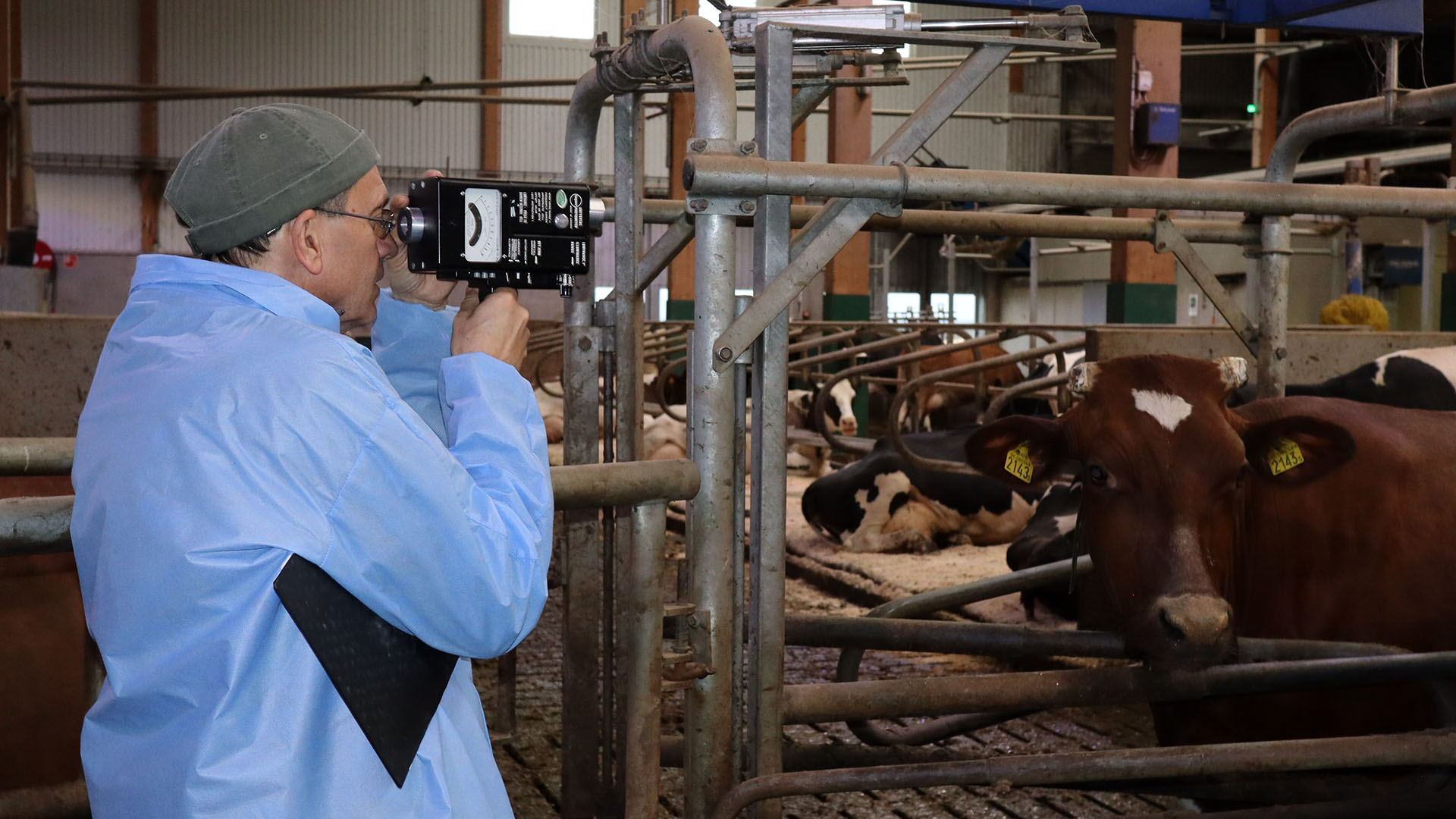 Kostallet IMG_0522-1920