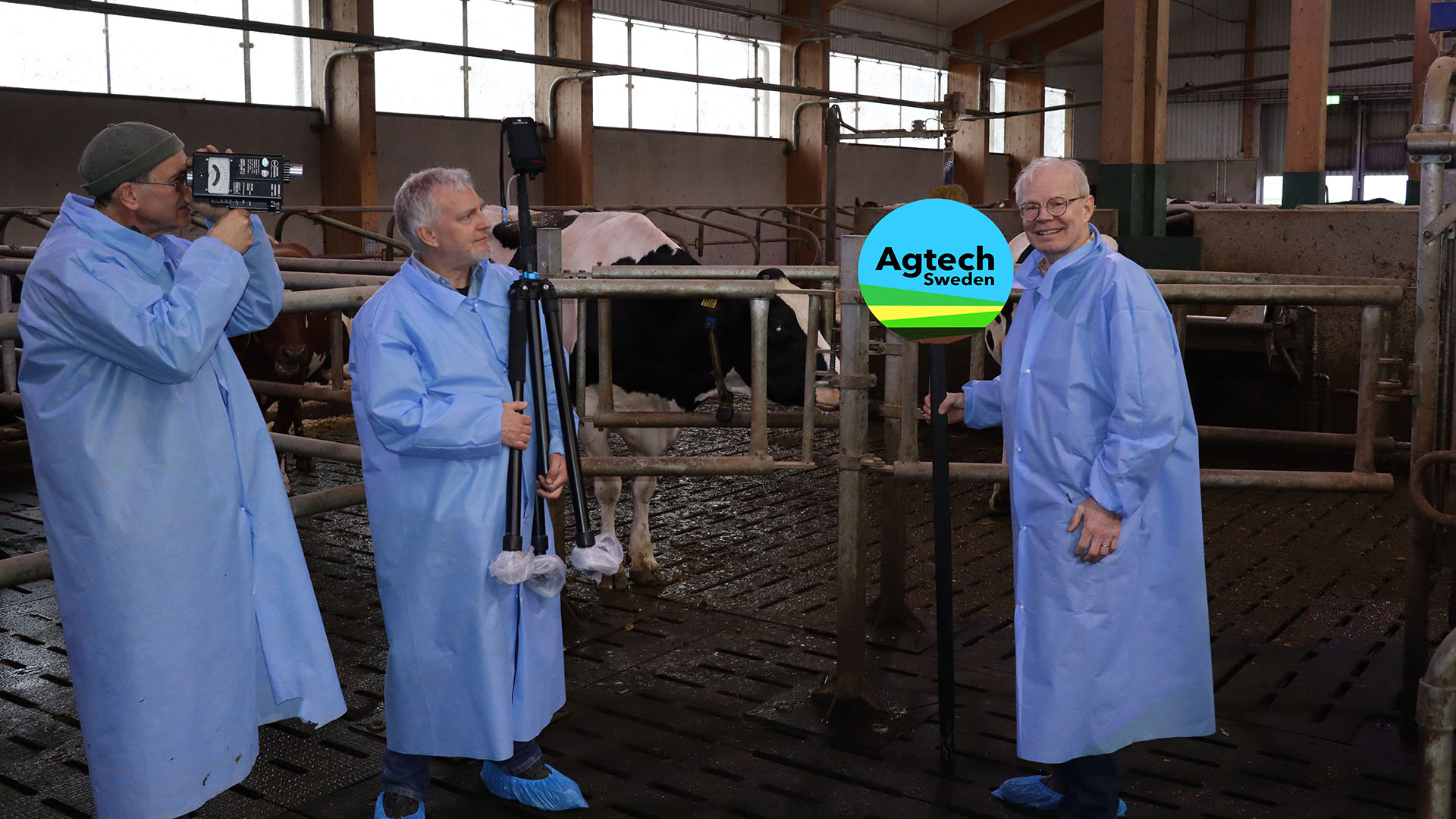 Kosteallet IMG_0516-1920